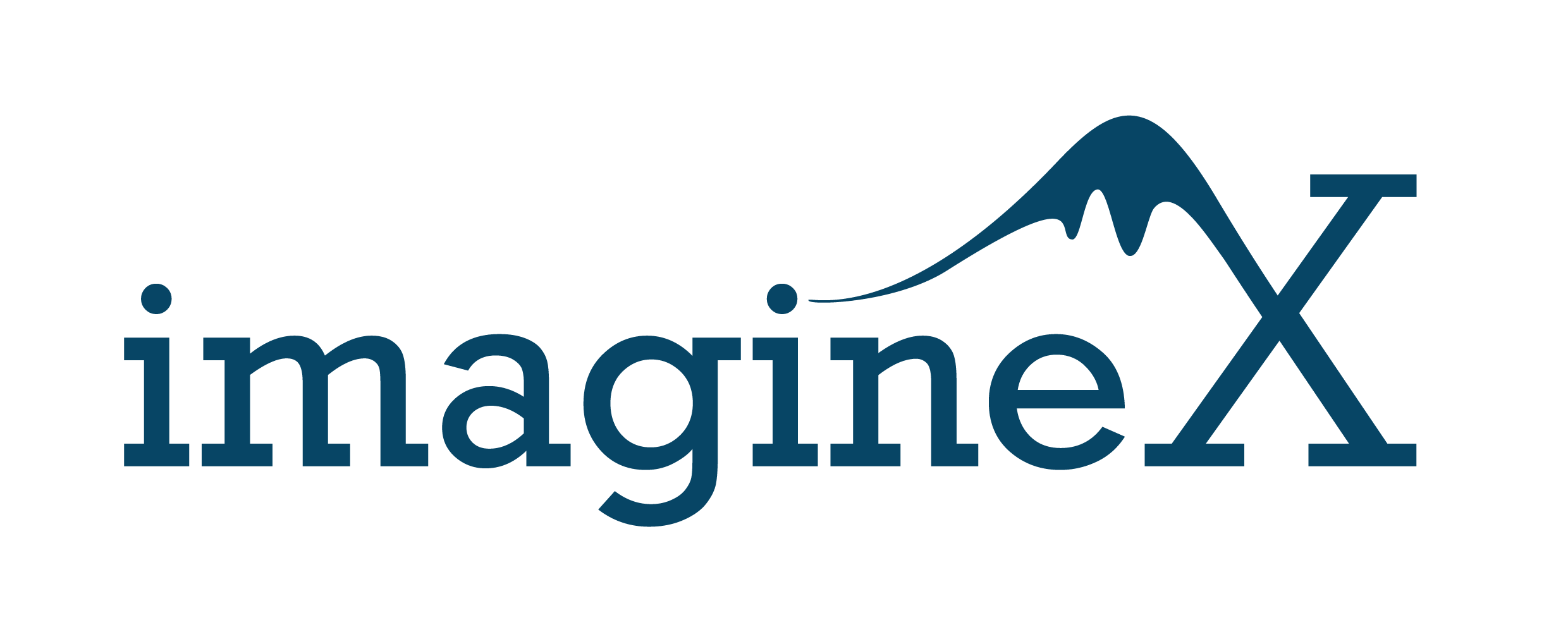ImagineX