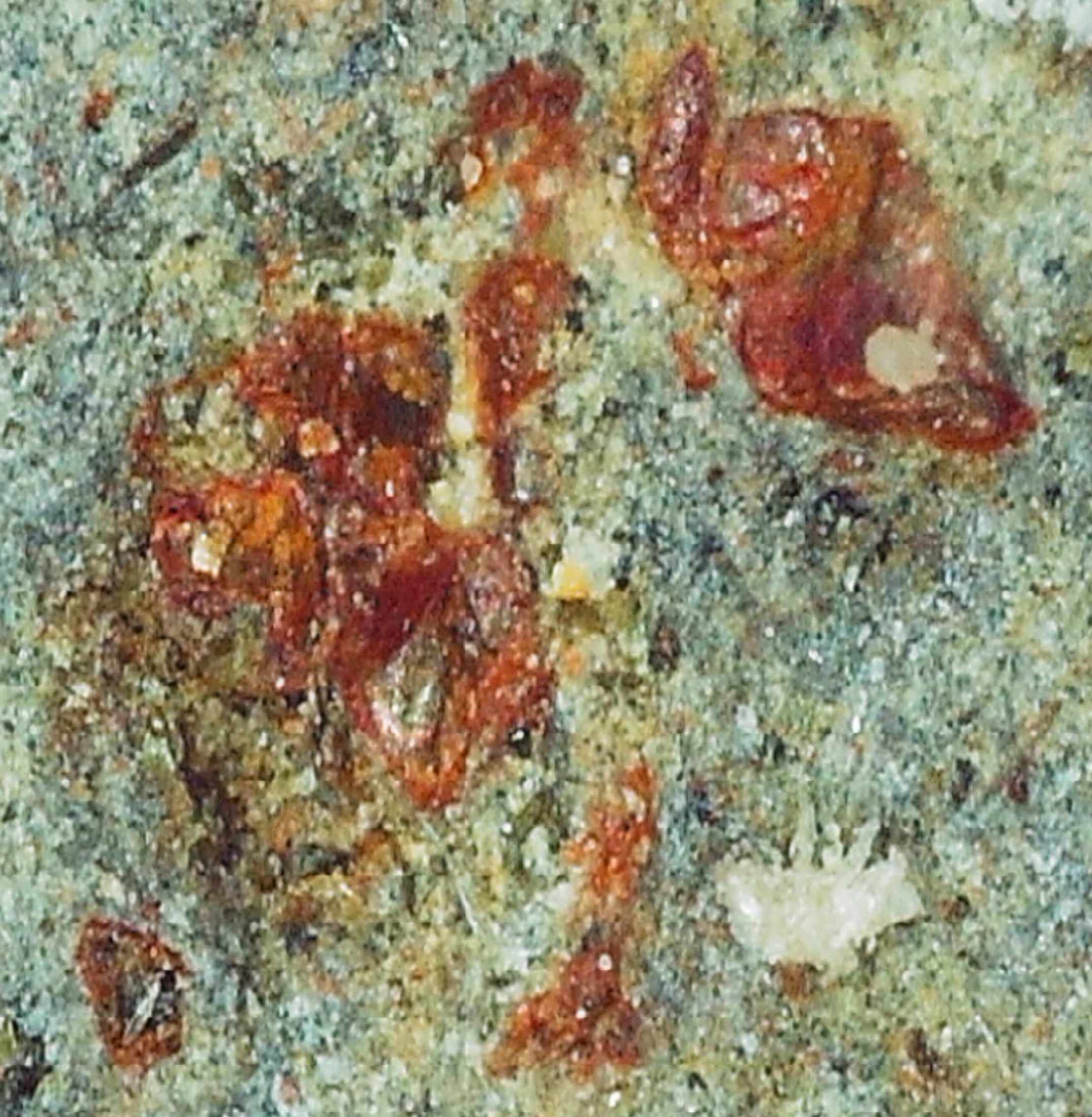 Meteor Reptile